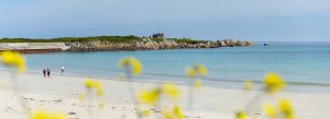 guernsey